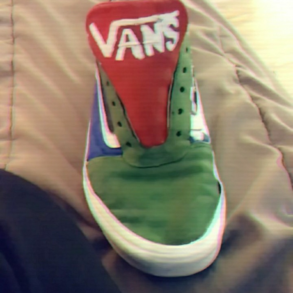 Multi-colored Vans Shoes